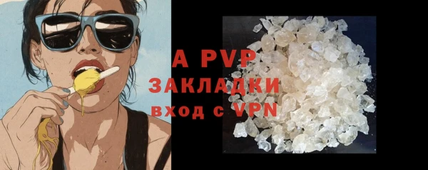 твердый Новокубанск