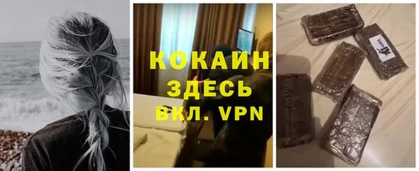 твердый Няндома