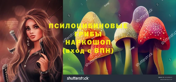 альфа пвп Новозыбков