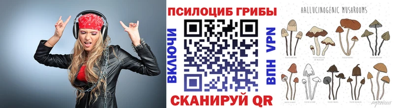 Галлюциногенные грибы MAGIC MUSHROOMS  Купить закладки  Кирс 