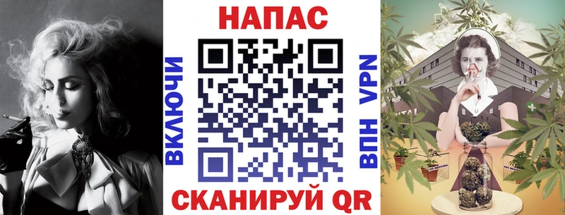 Марихуана сатива  Купить  Кирс 
